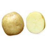 Картофель колобок