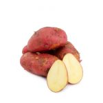 Картофель красный
