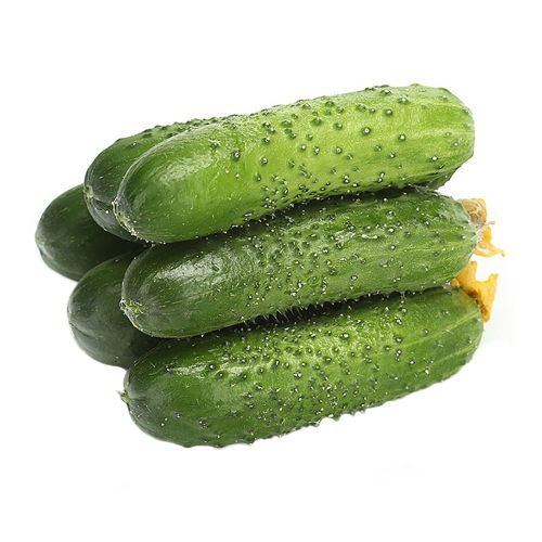 Огурцы корнишоны