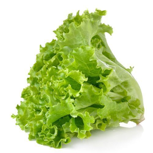 Салат листовой