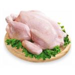 Мясо домашних цыплят