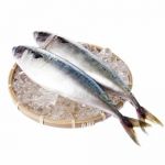 Скумбрия замороженная