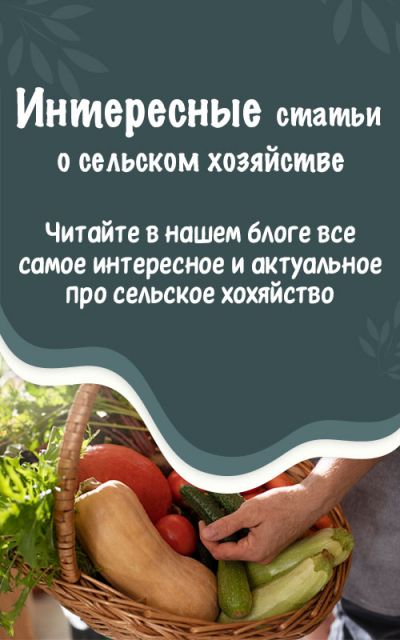 третий