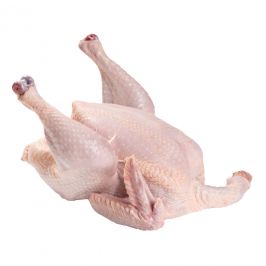 Курица домашняя