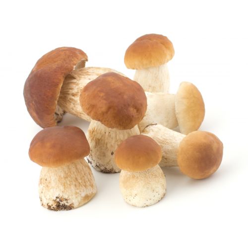 Маринованные белые грибы Маринованные белые грибы