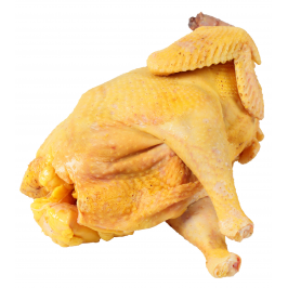 Курица фермерская