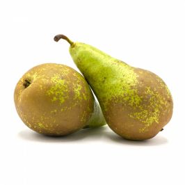 Груша конференция