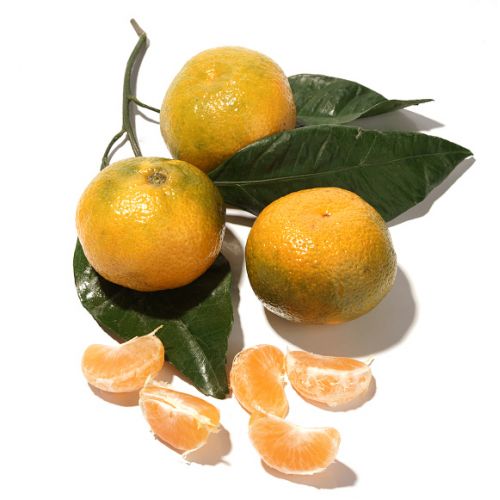Мандарины Мандарины