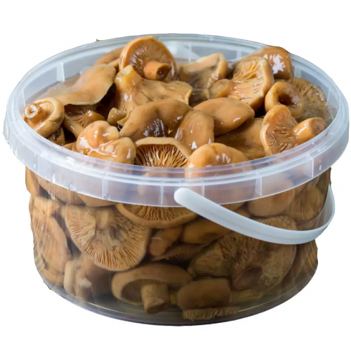 Рыжики соленые